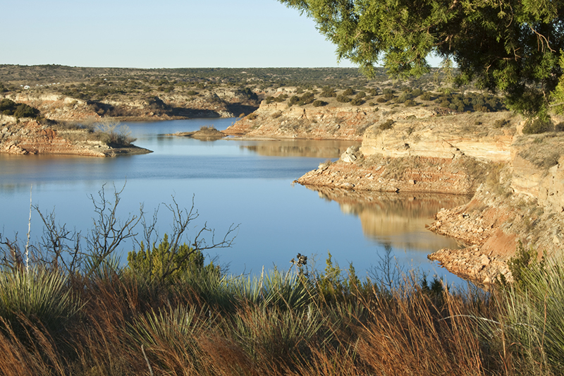 Image showing brackish water source